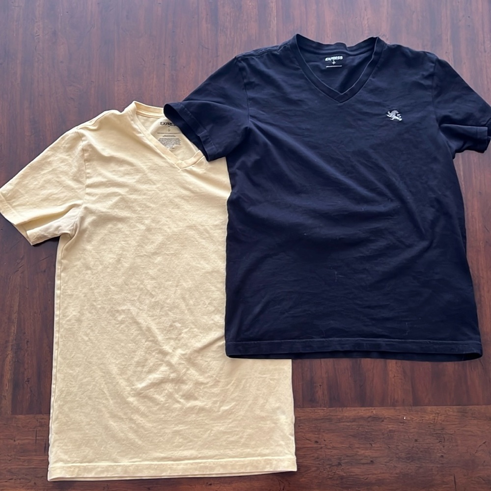Two Express v neck tees